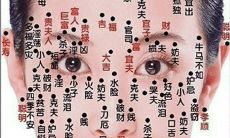 男面部痣相图解痣相图解(男的脸上长痣面相图解)