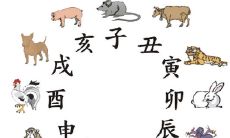 12生肖的破月列表(十二生肖男女破月月份)