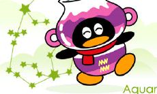 水瓶座是什么相位(水瓶座属于哪个星系)