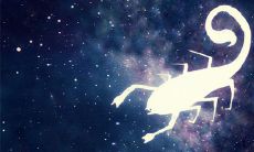 狮子和摩羯哪个实力强(摩羯座不是一般人能搞定的)