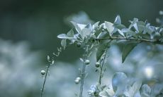 手相图断掌男右手(右手断掌的女人旺夫)