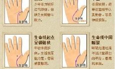 看手相要问的问题(看手相可以看出什么)