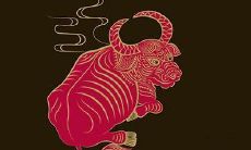 本命年的大忌属牛1973禺(1973年本命年)