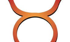 金牛男一般盯着什么人看(金牛男对有好感的女生)