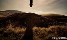 人真的应该相信命运吗(命里有些事该发生的躲不过吗)