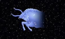 哪个星座男结婚才最辛福(十二星座男最终会娶谁)