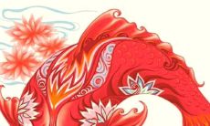 星座性格介绍(十二星座各个星座的性格特点)