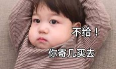 十二星座守护神兽龙(十二星座蛋糕)