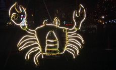 射手座容易上头(脑子强悍射手座)