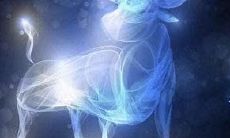 金牛座喜欢一个人会不联系吗(金牛座男生喜欢一个人的表现)