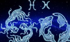 3月15日是双鱼座吗(3月15日的双鱼座上升是什么)