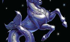 摩羯座压力大的时候伴侣怎么做(摩羯男的最佳伴侣)