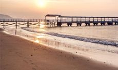 哪个星座保护天秤座(天秤压制什么星座)