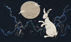 1975年属兔女微信网名最好(1975年属兔最旺财4个数字)