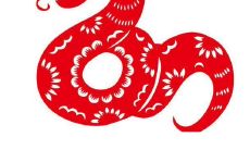 桃花运越旺财运越好的生肖(十二生肖桃花运最旺)