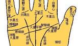 看手相算什么卦(看手相属于玄学吗)