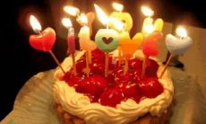 属蛇和属狗合吗(属蛇的和属狗的相配吗)