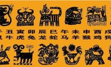 十二生肖排名依据(十二生肖按什么划分)