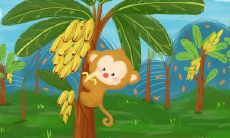 属猴的五行属性(五行属性查询)