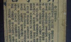 袁天罡称骨4两6钱女(袁天罡称骨算命4两女命)