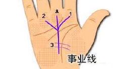 从手掌根部起两条断断续续的线垂直延伸至手指(白羊座跟白羊座的配对指数)
