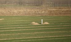 梦到和去世的父亲说话是什么预兆(梦见去世的父亲回来了)