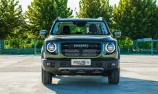 哈弗大狗为什么出旺财版(81年属鸡哪个月出生好)