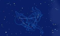 摩羯座女生放下一个人要多久(摩羯座原谅一个人要多久)