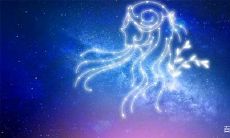 射手座就是这么遭人嫉妒吗(狮子座和射手座)