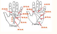 女生风字纹手相(女人风字纹手相好不好)