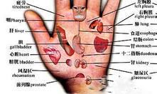 中国手相全解(男女手相图解大全)