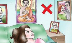 蓬莱松属蛇摆放位置风水学(77年属蛇办公室坐旺财方位)