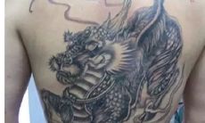 属猪的适合纹什么满背(属猪纹身的忌讳纹什么)