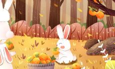 属兔人的命运分析(属兔的人是什么命)