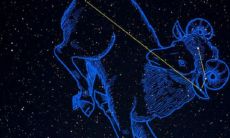 水瓶座是不是很傻(有一种傻叫水瓶座的傻)