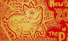 2023属猪和什么人合财(属马和属虎的人合财吗)