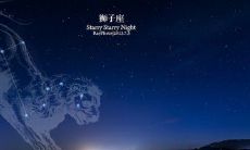 狮子男行动派(狮子男睡了你之后)