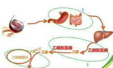 十二星座谁最容易发胖(12星座谁最瘦)