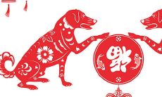 农历五月的狗命运怎么样(属狗出生时辰看命运)