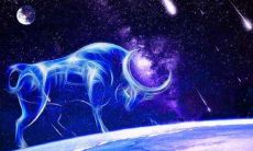 和金牛男最配的星座(和水瓶女最配的星座)