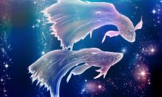 双鱼座男生适合什么样的职业(属牛双鱼座男生性格特点)