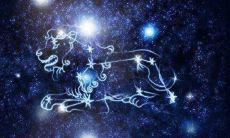 欺负狮子座为什么可怕(狮子座是帝王最多的星座)