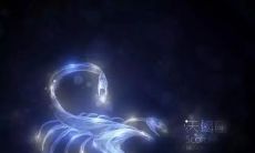 很专一的星座(哪个星座最专一)