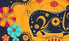 71年属猪女为何命苦(1971年属猪女一生命运)