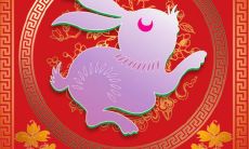 属兔的明年穿什么颜色衣服(属兔今年穿啥颜色衣服吉祥)