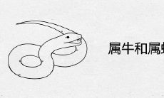 男属蛇女属牛的婚姻怎么样(男属蛇女属马的婚姻怎么样)