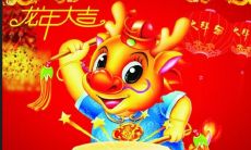 八岁属龙是哪年出生的(一九八八年属龙的男孩)