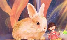 1999年属兔的一生怎么样(1996年属鼠是什么命)