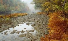 如何跟摩羯座的人相处(怎样和摩羯座同事相处)