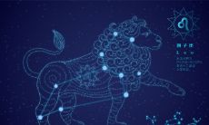 处女座长大有几套房子(天秤座女生最不吃那一套)